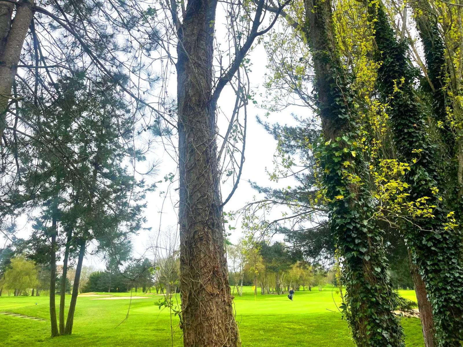 La Deauvillaise - Du Golf